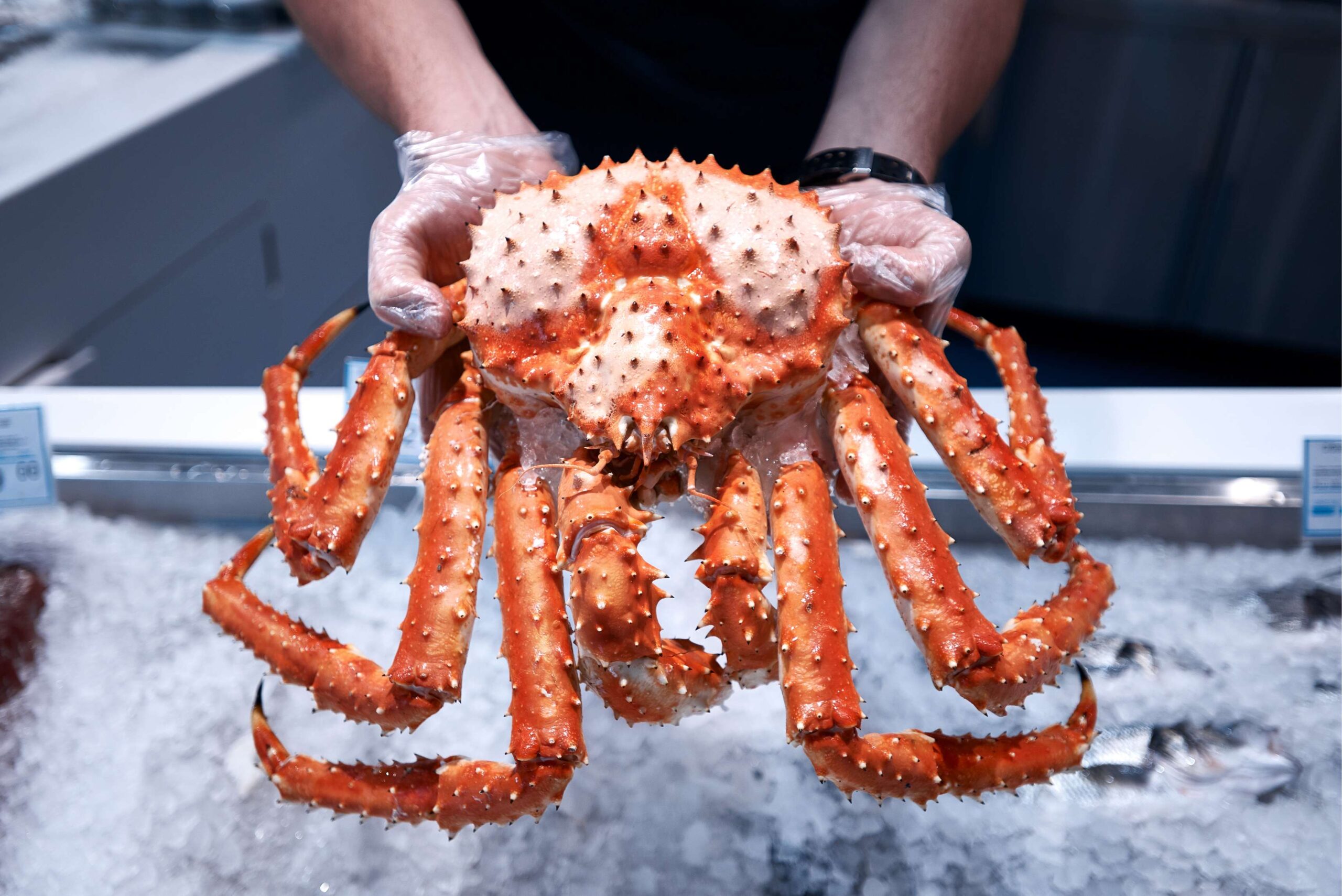 krab klauw